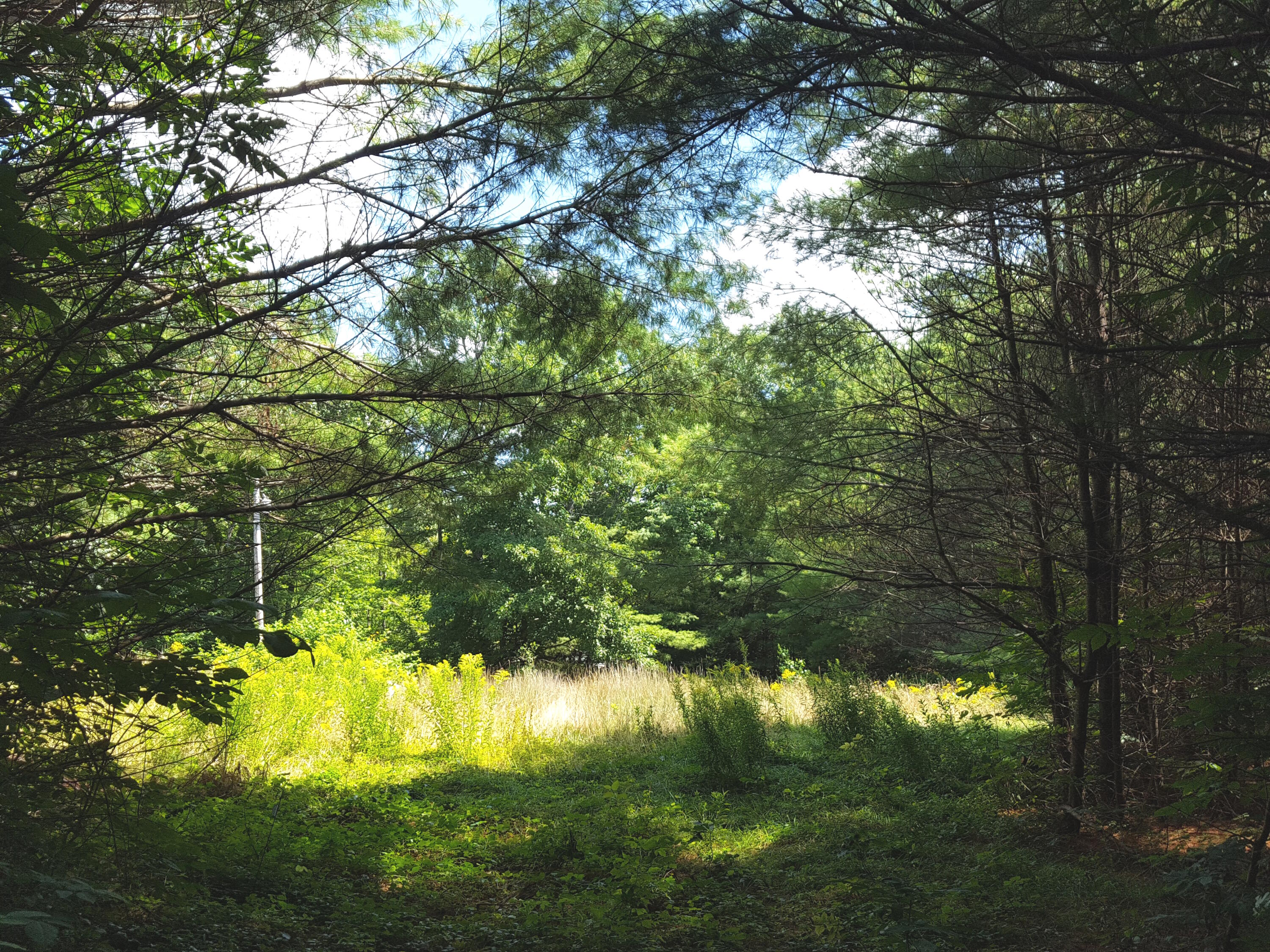 Lot#10 Harrison Road Naples, ME 04055 - Photo 10 of 13 20240807_121004