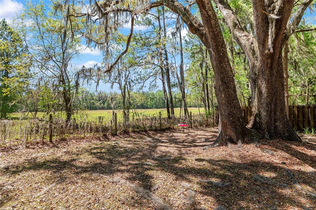 10219 Northwest 4th Place Gainesville, FL 32607 - Photo 28 of 54
