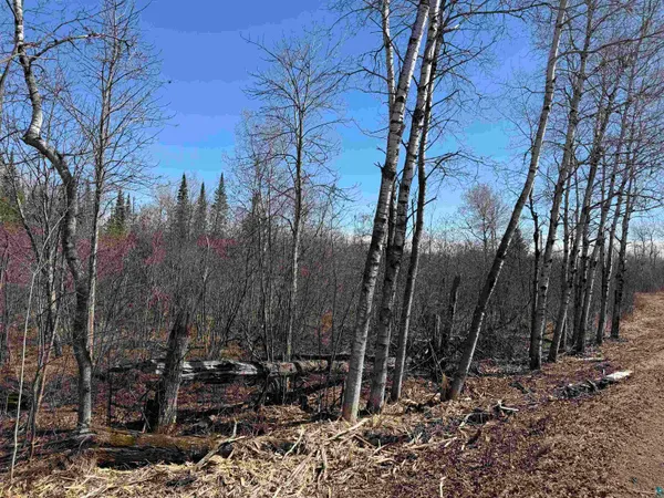 $75,000 | 51-xx Samuelson Road, Duluth, MN 55811