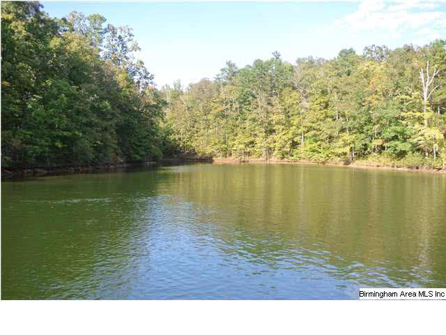 Wild Cherry Parkway, Unit 147 Wedowee, AL 36278 - Photo 2 of 4