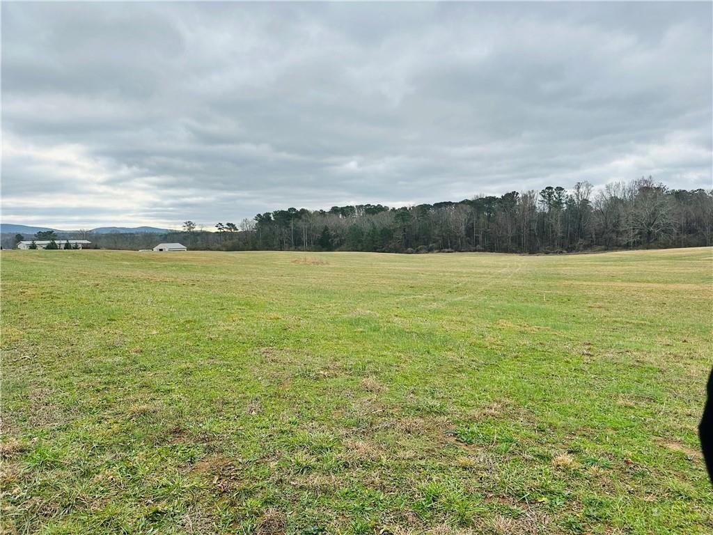 0 Bryant Road Fairmount, GA 30139 - Photo 3 of 4