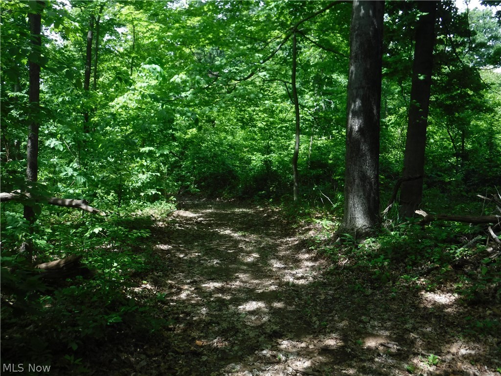 Irish Ridge Road Philo, OH 43771 - Photo 15 of 35