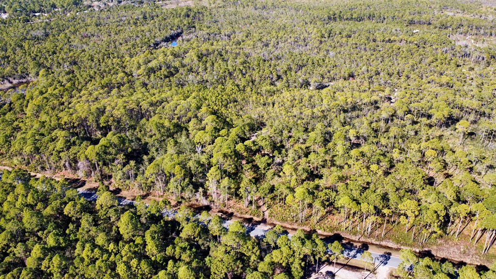 271 Twin Lakes Road Eastpoint, FL 32328 - Photo 13 of 17 Gallery Image 13