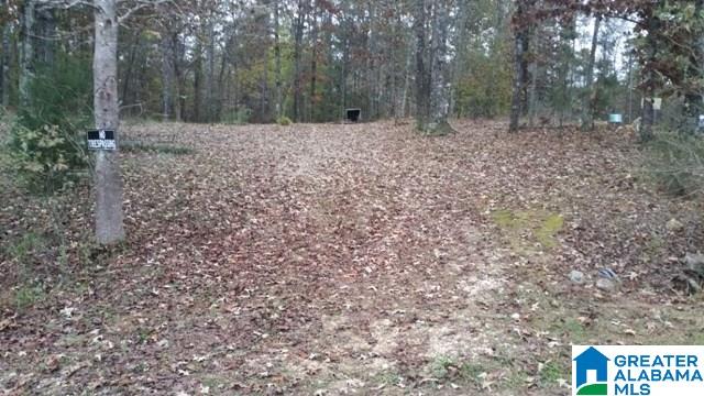 135 Honeysuckle Way, Unit 1 Riverside, AL 35135 - Photo 2 of 14