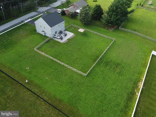 a view of a garden with plants and large trees