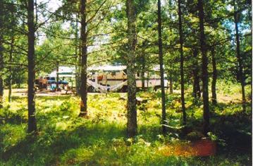Off Swihart Road Brethren, MI 49619 - Photo 4 of 5 Additional Photo