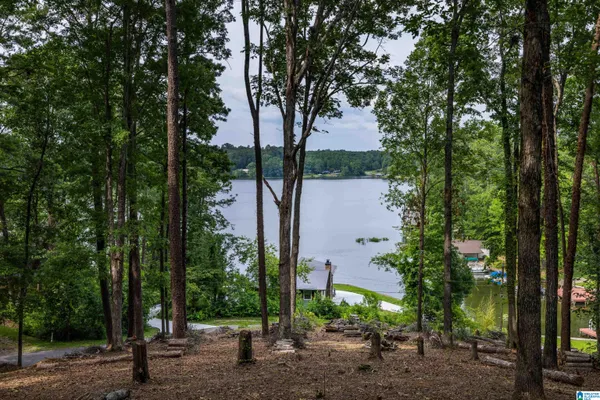 $59,000 | 58 East Sunset Boulevard, Oneonta, AL 35121