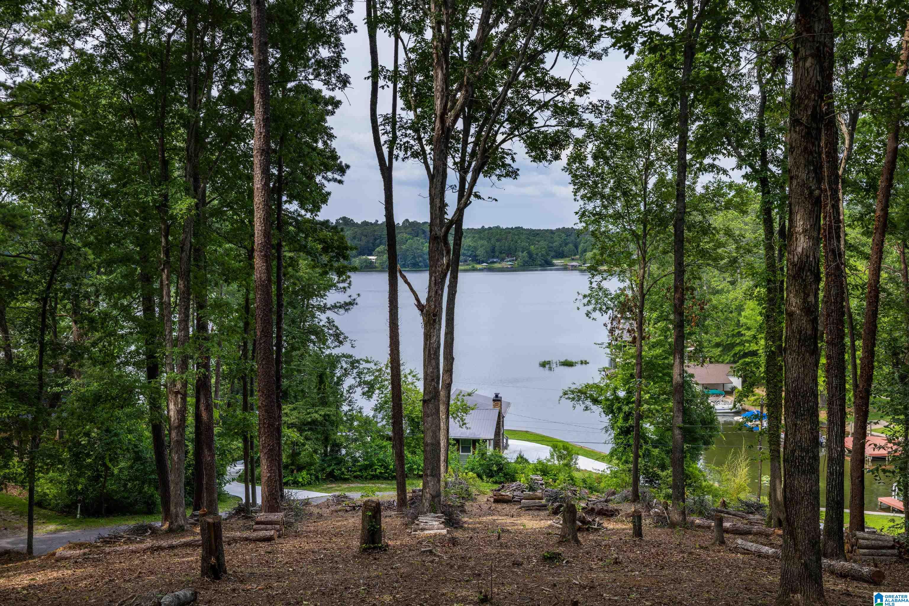 58 East Sunset Boulevard Oneonta, AL 35121 - Photo 1 of 40