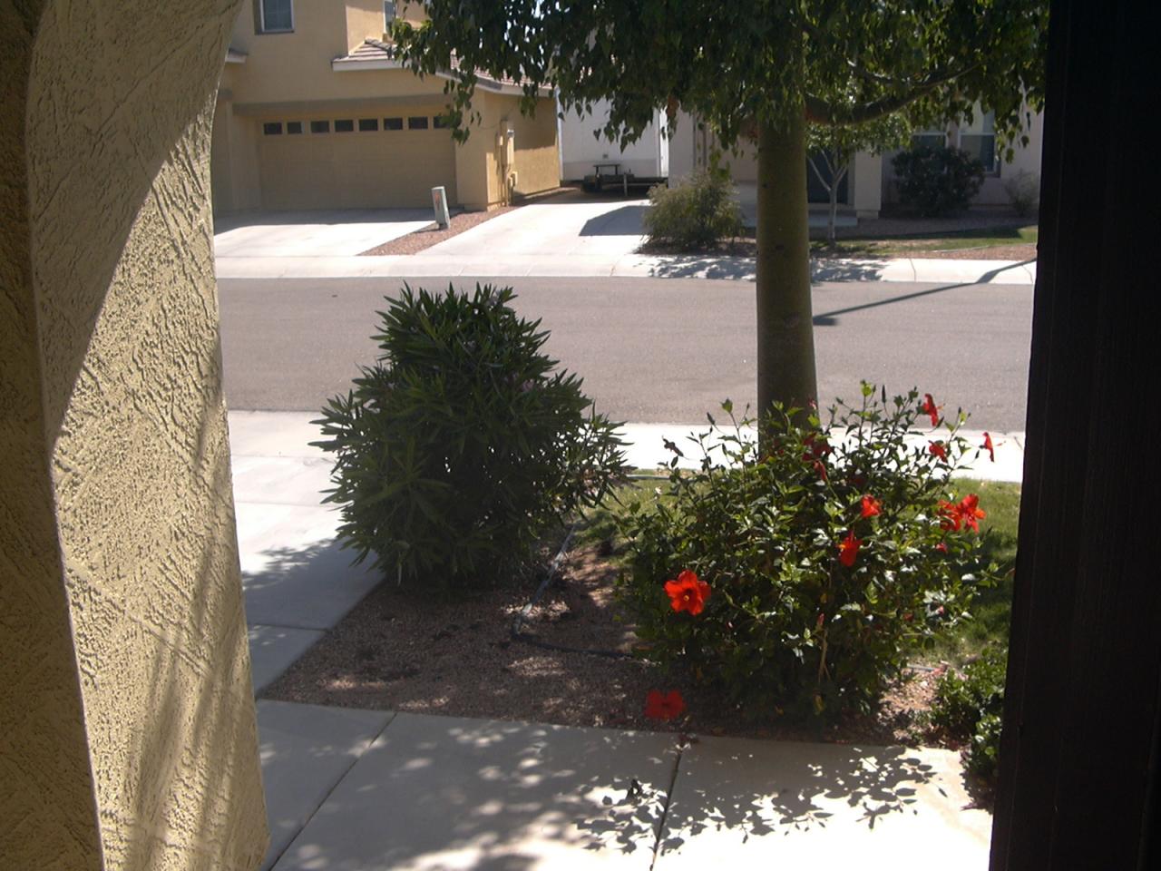 1834 East Del Rio Street Gilbert, AZ 85295 - Photo 4 of 18 Looking out the Front Door