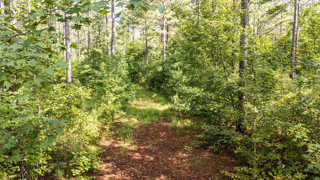 33-ac Crosscreek Road Edgefield, SC 29824 - Photo 19 of 25
