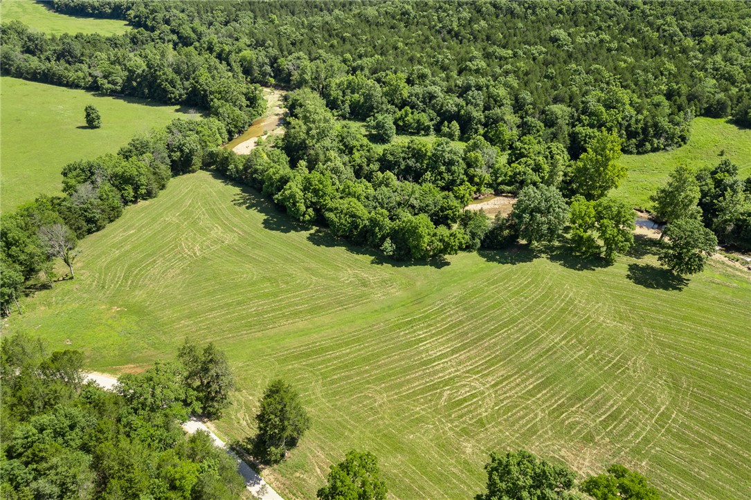 13136 Cedar Grove Road Lead Hill, AR 72644 - Photo 53 of 54 Gallery Image 53