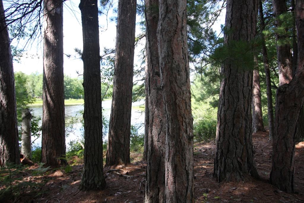 Off Clausen Road Rhinelander, WI 54501 - Photo 12 of 25 Gallery Image 12