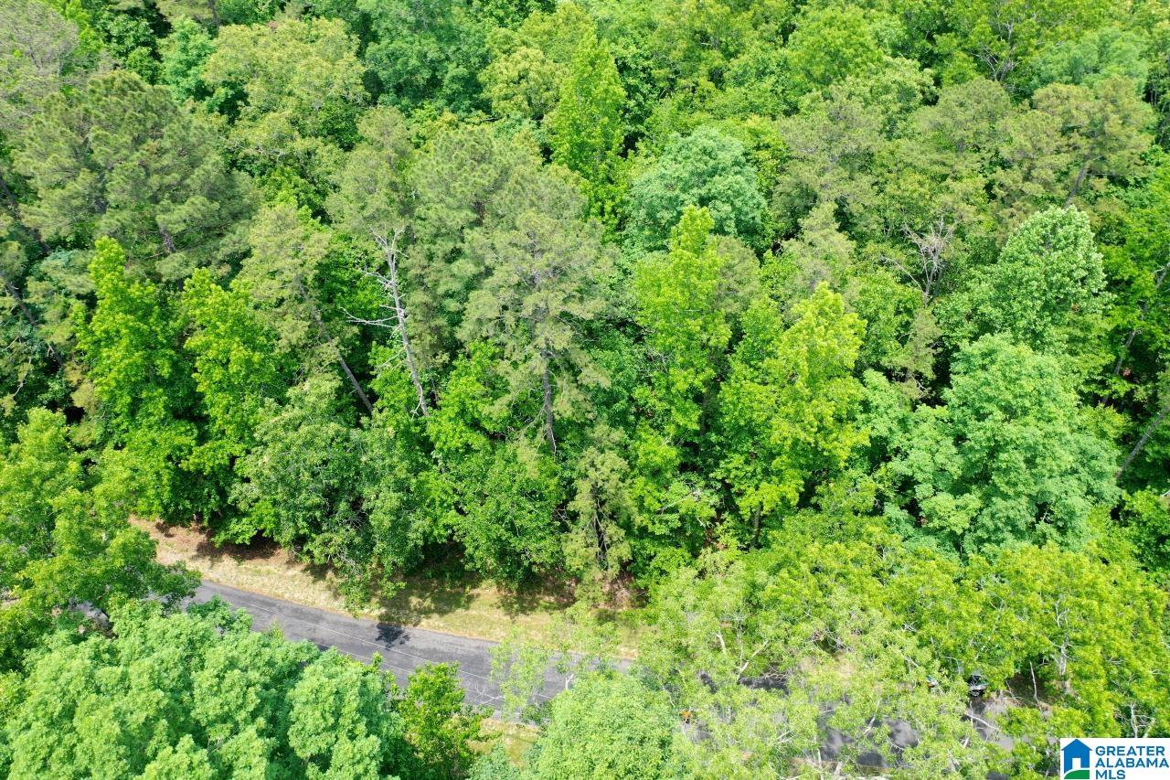 0 Kennedy Drive, Unit 13 Oneonta, AL 35121 - Photo 5 of 10