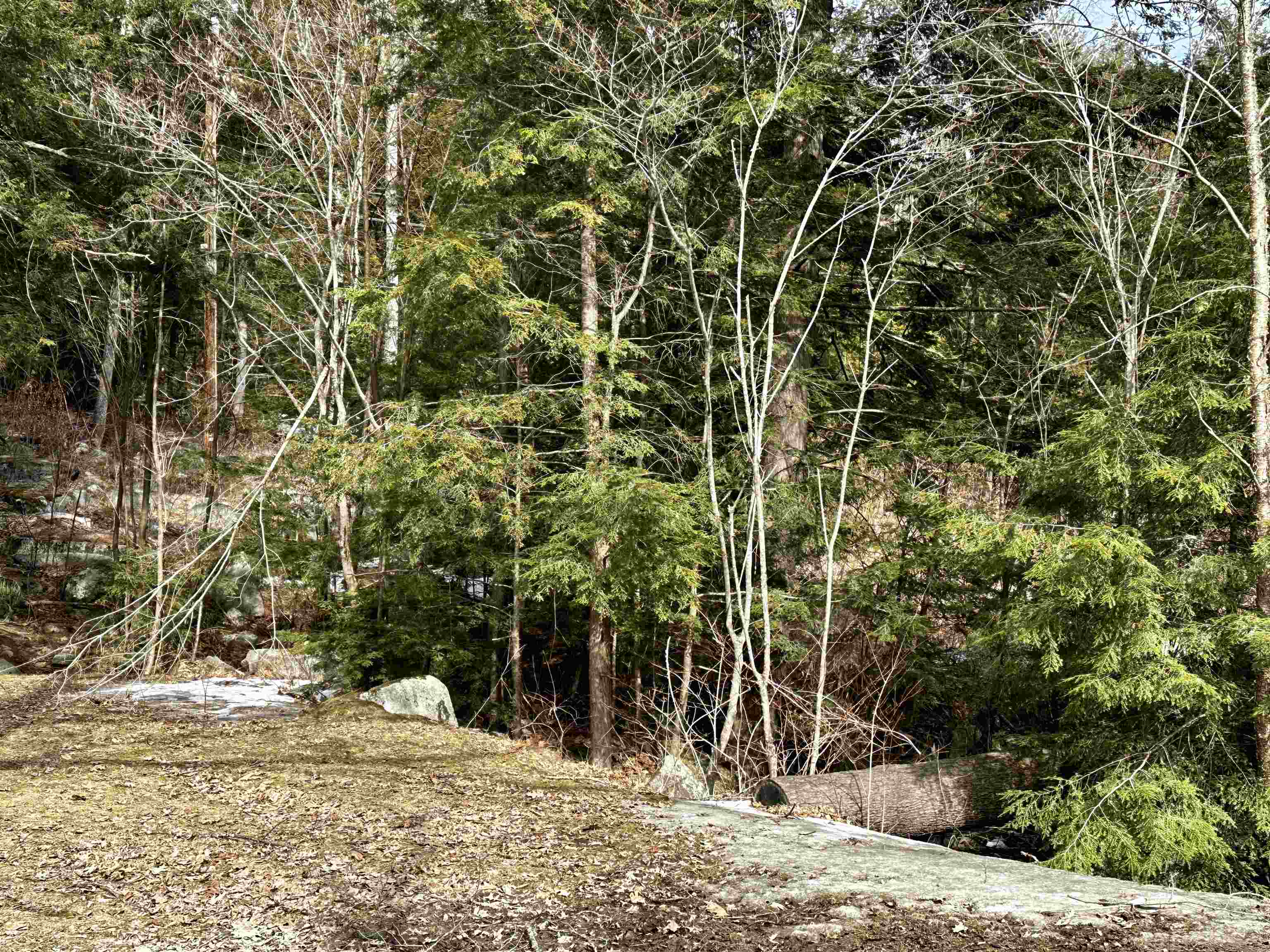 900 Goose Pond Road Canaan, NH 03741 - Photo 17 of 24