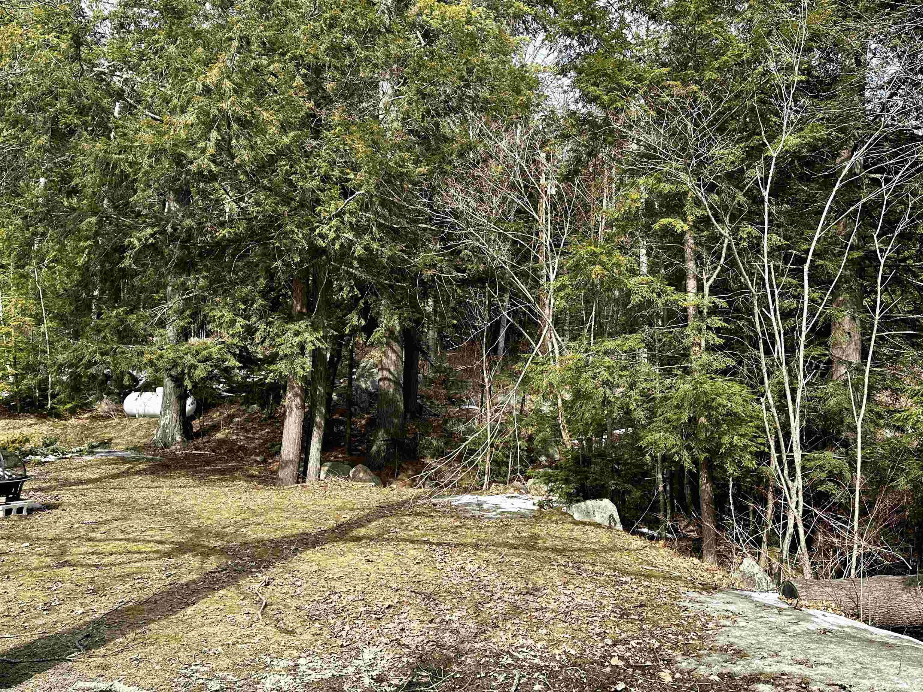 900 Goose Pond Road Canaan, NH 03741 - Photo 18 of 24