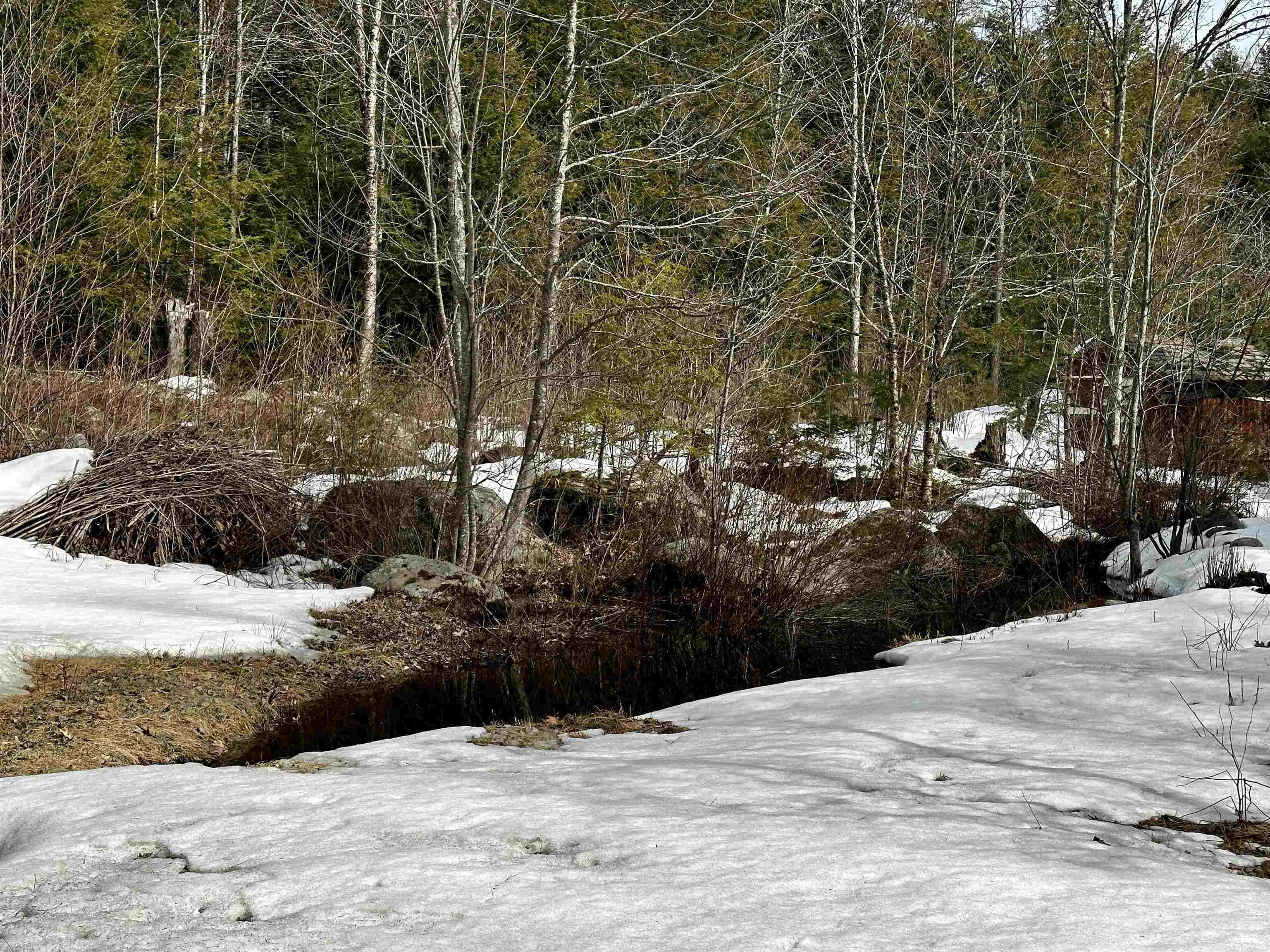 900 Goose Pond Road Canaan, NH 03741 - Photo 22 of 24