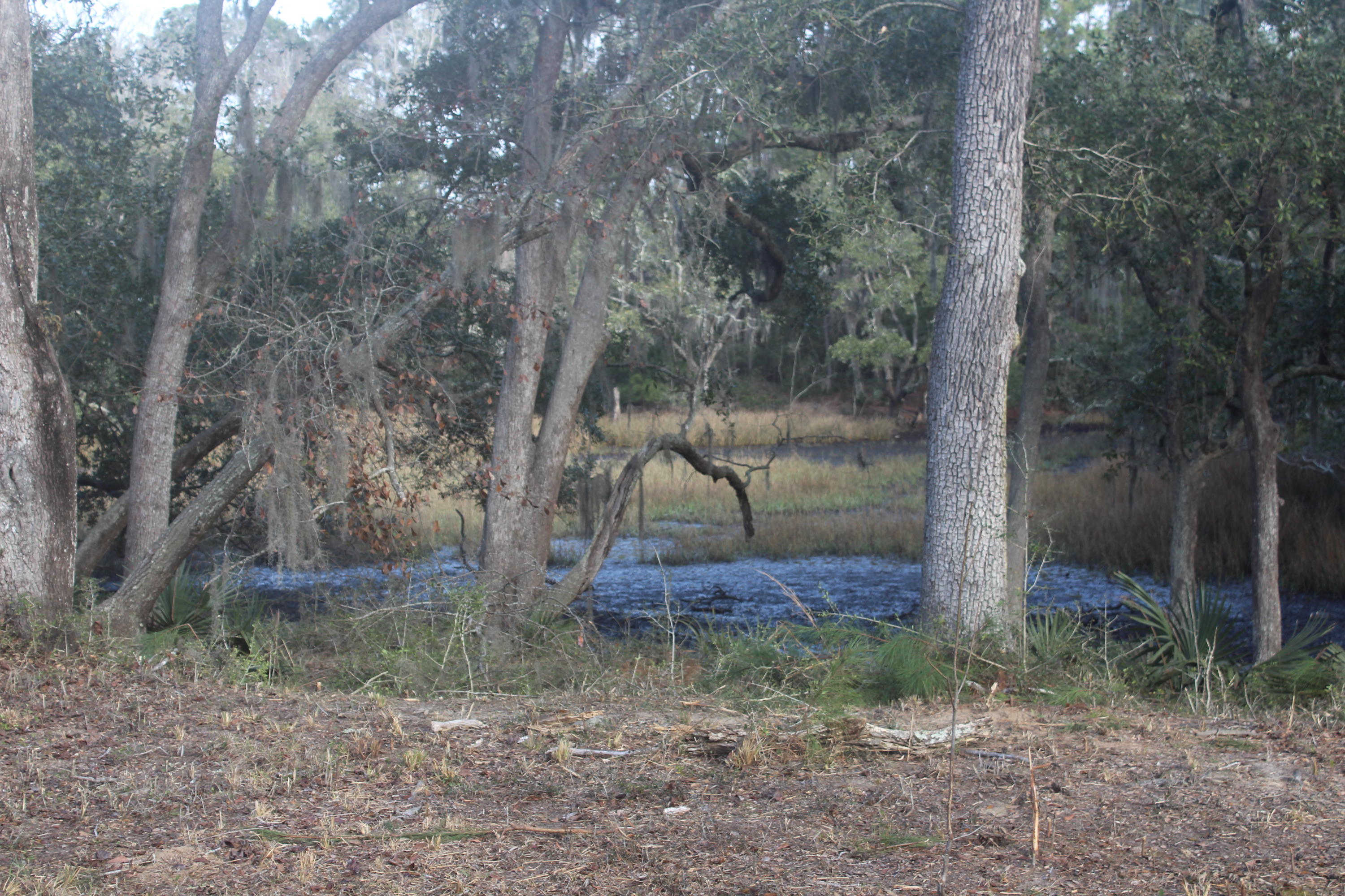0 Riggs Lane Meggett, SC 29449 - Photo 2 of 9