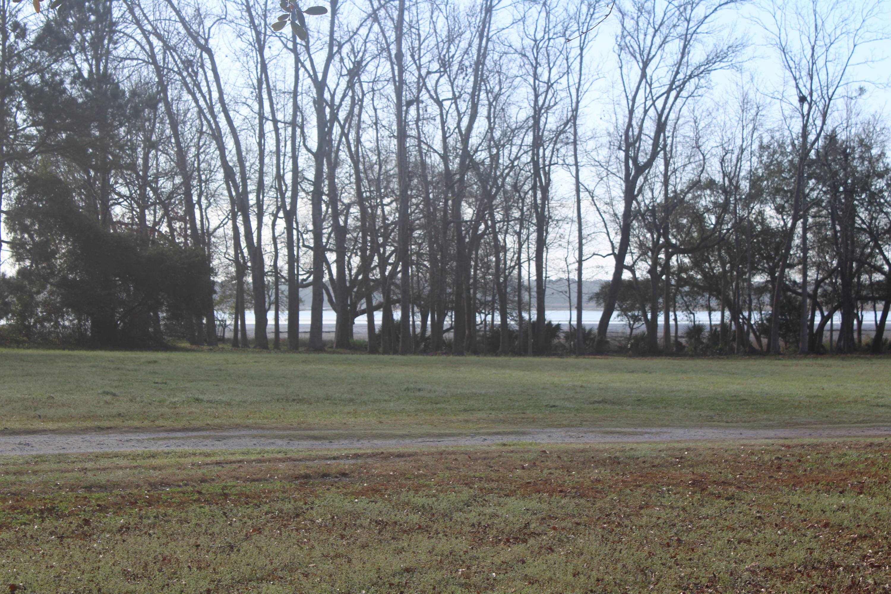 0 Riggs Lane Meggett, SC 29449 - Photo 3 of 9