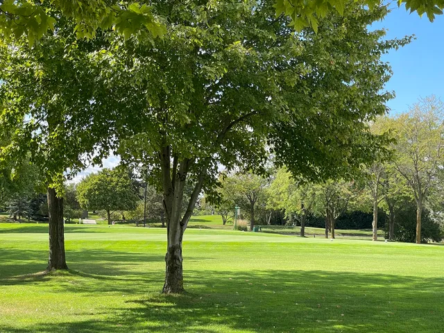 a view of a grassy field with trees around