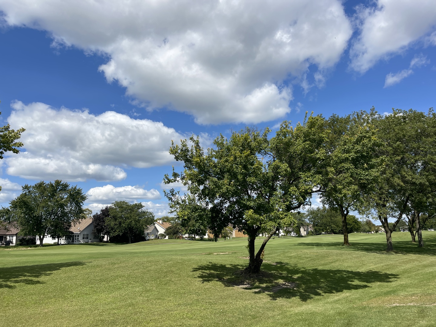 13810 Magnolia Drive Plainfield, IL 60544 - Photo 21 of 30 a view of a grassy field with trees around