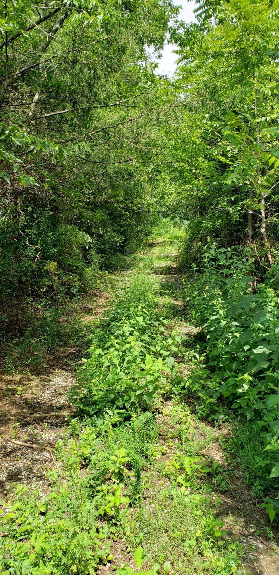 Sims Cemetery Road Sevierville, TN 37876 - Photo 5 of 18 20200901_123226
