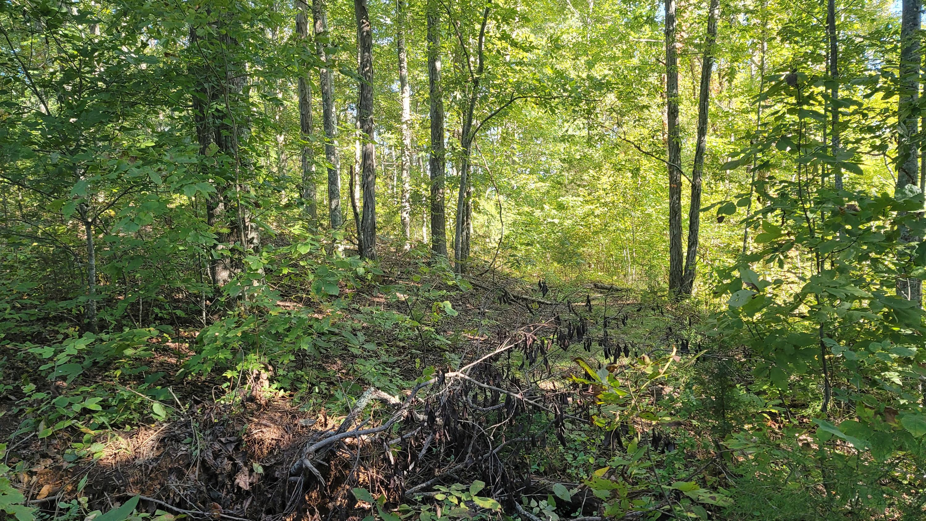 Sims Cemetery Road Sevierville, TN 37876 - Photo 6 of 18 20201002_101256
