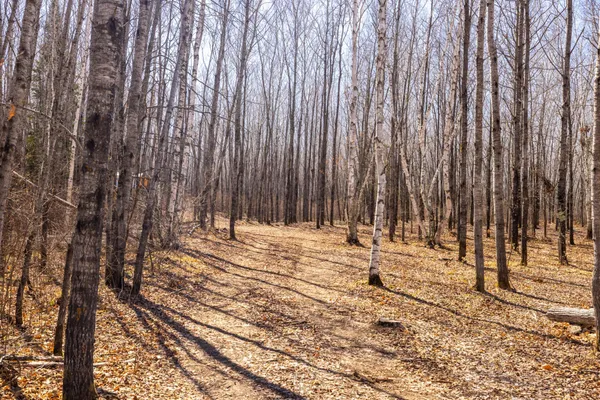 $124,900 | Tbd 285th Avenue, Akeley, MN 56433