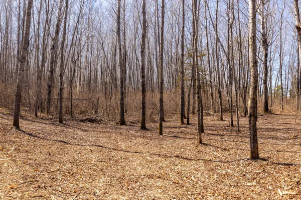 $124,900 | Tbd 285th Avenue, Akeley, MN 56433