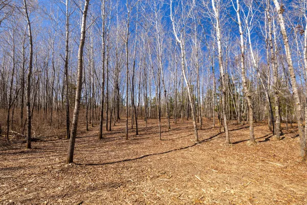 $124,900 | Tbd 285th Avenue, Akeley, MN 56433