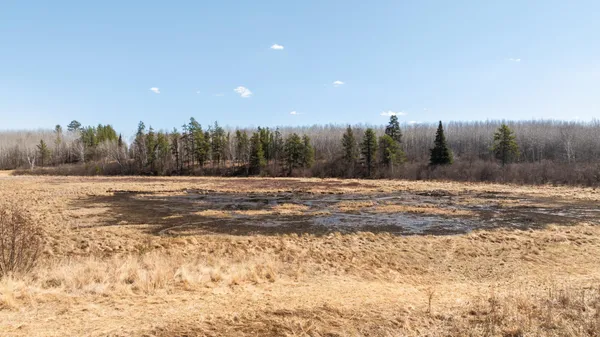 $124,900 | Tbd 285th Avenue, Akeley, MN 56433