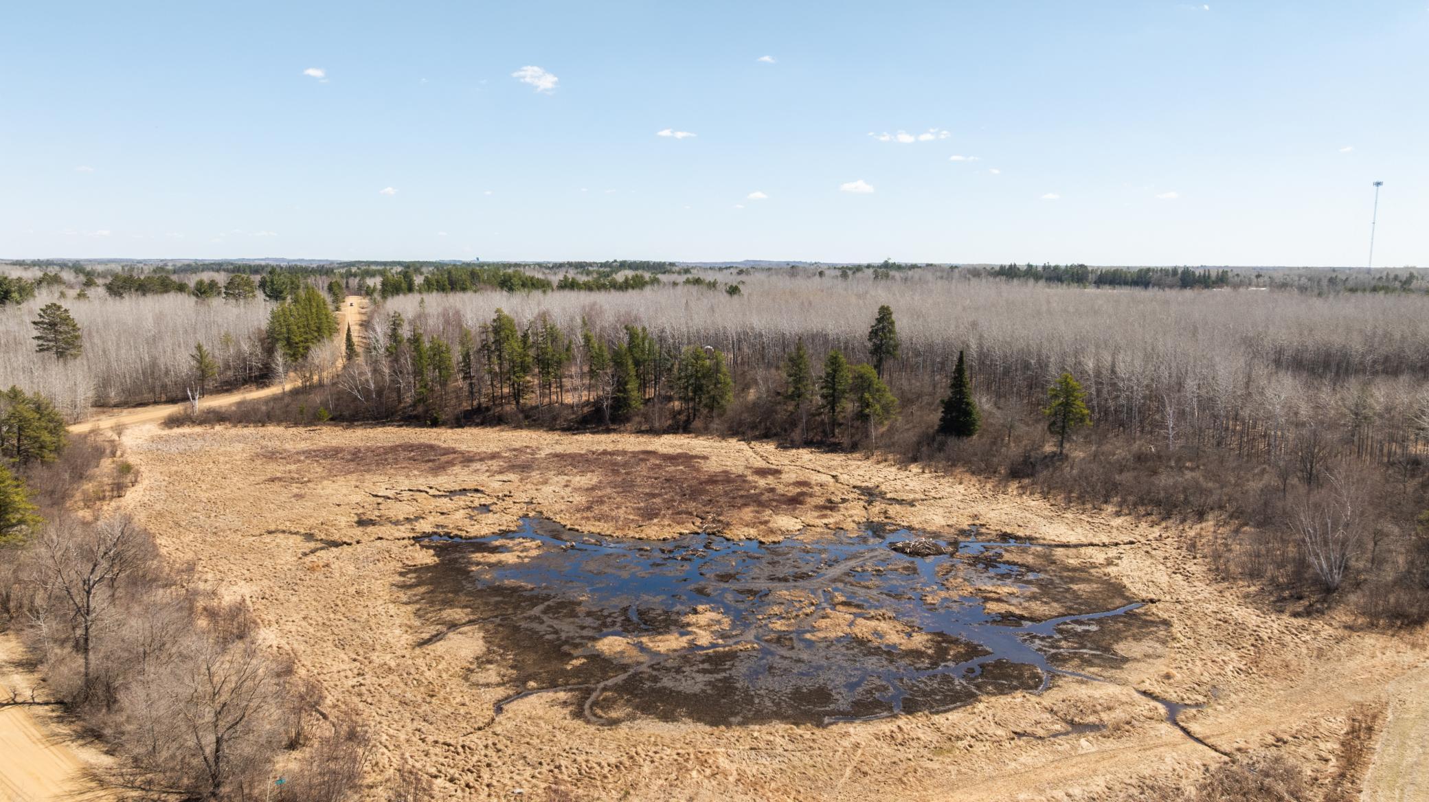 Tbd 285th Avenue Akeley, MN 56433 - Photo 16 of 29