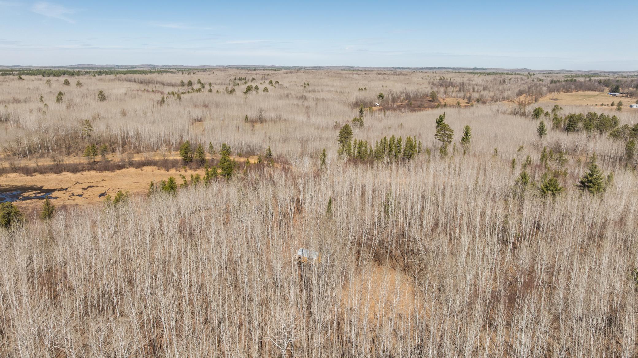 Tbd 285th Avenue Akeley, MN 56433 - Photo 22 of 29