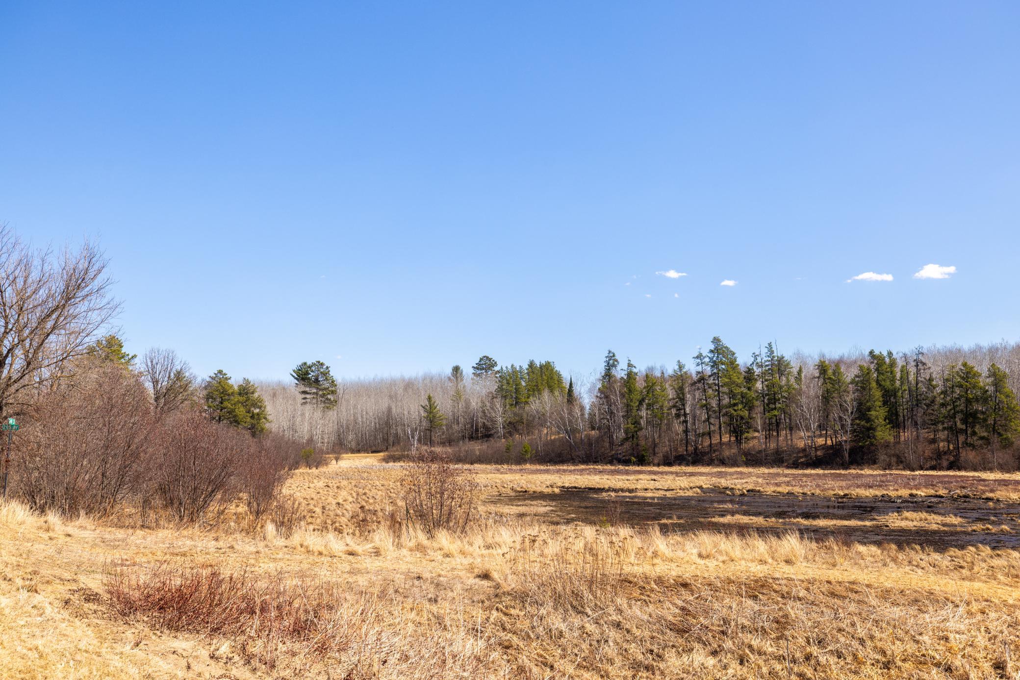 Tbd 285th Avenue Akeley, MN 56433 - Photo 8 of 29