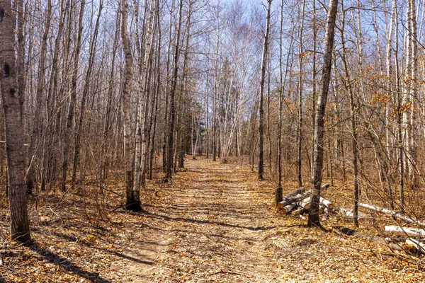 $124,900 | Tbd 285th Avenue, Akeley, MN 56433
