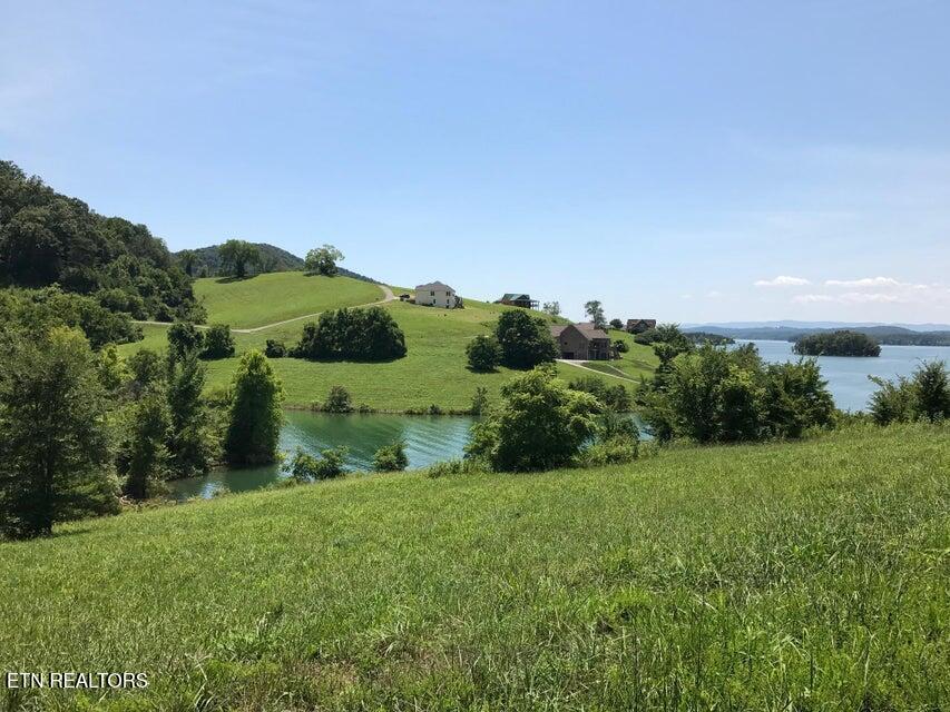 Lot 585 Russell Brothers Road Sharps Chapel, TN 37866 - Photo 5 of 15 585-11
