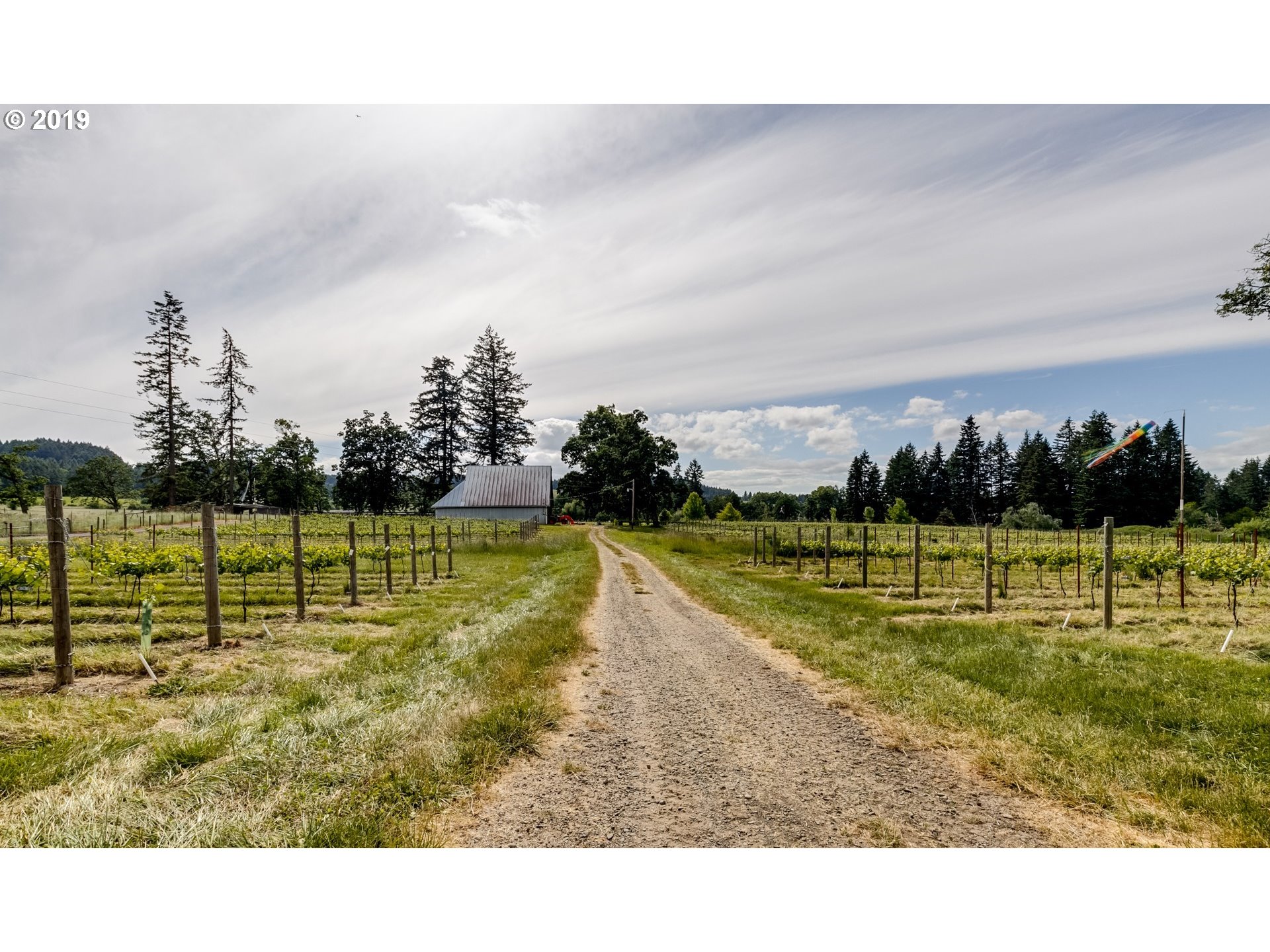 86730 Central Road Eugene, OR 97402 - Photo 2 of 31 Gallery Image 2