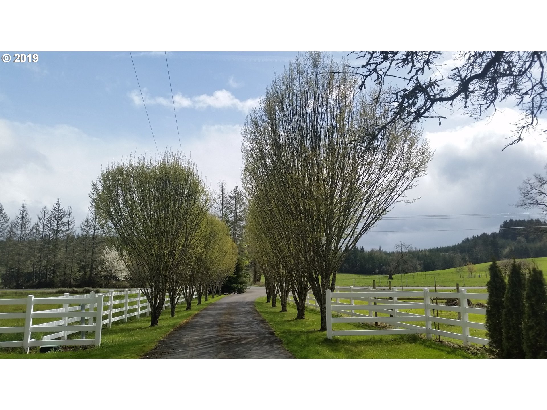 86730 Central Road Eugene, OR 97402 - Photo 16 of 31 Gallery Image 16