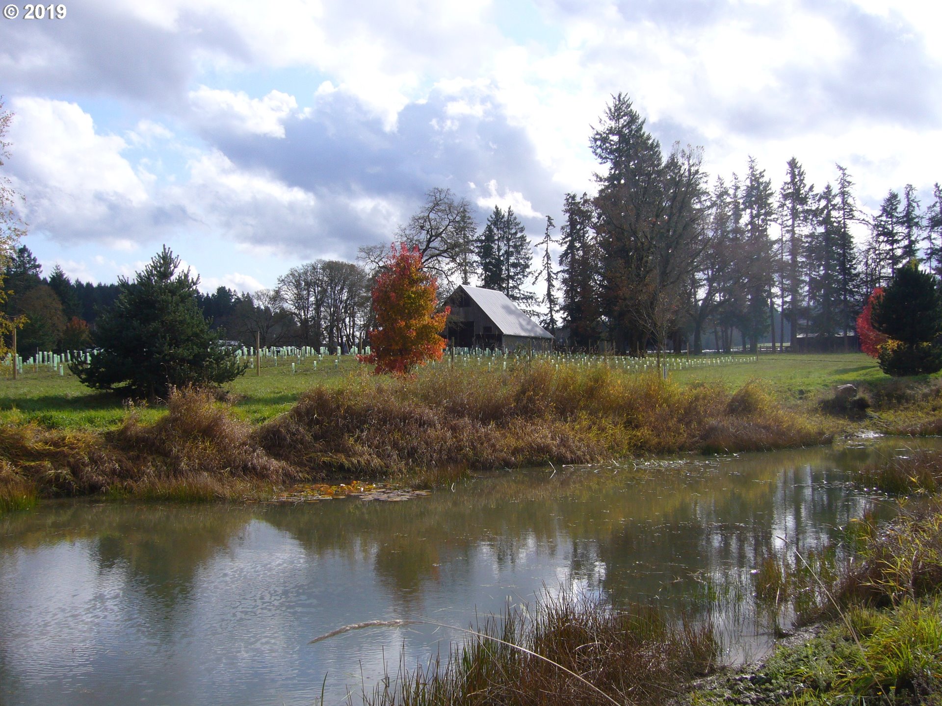 86730 Central Road Eugene, OR 97402 - Photo 9 of 31 Gallery Image 9