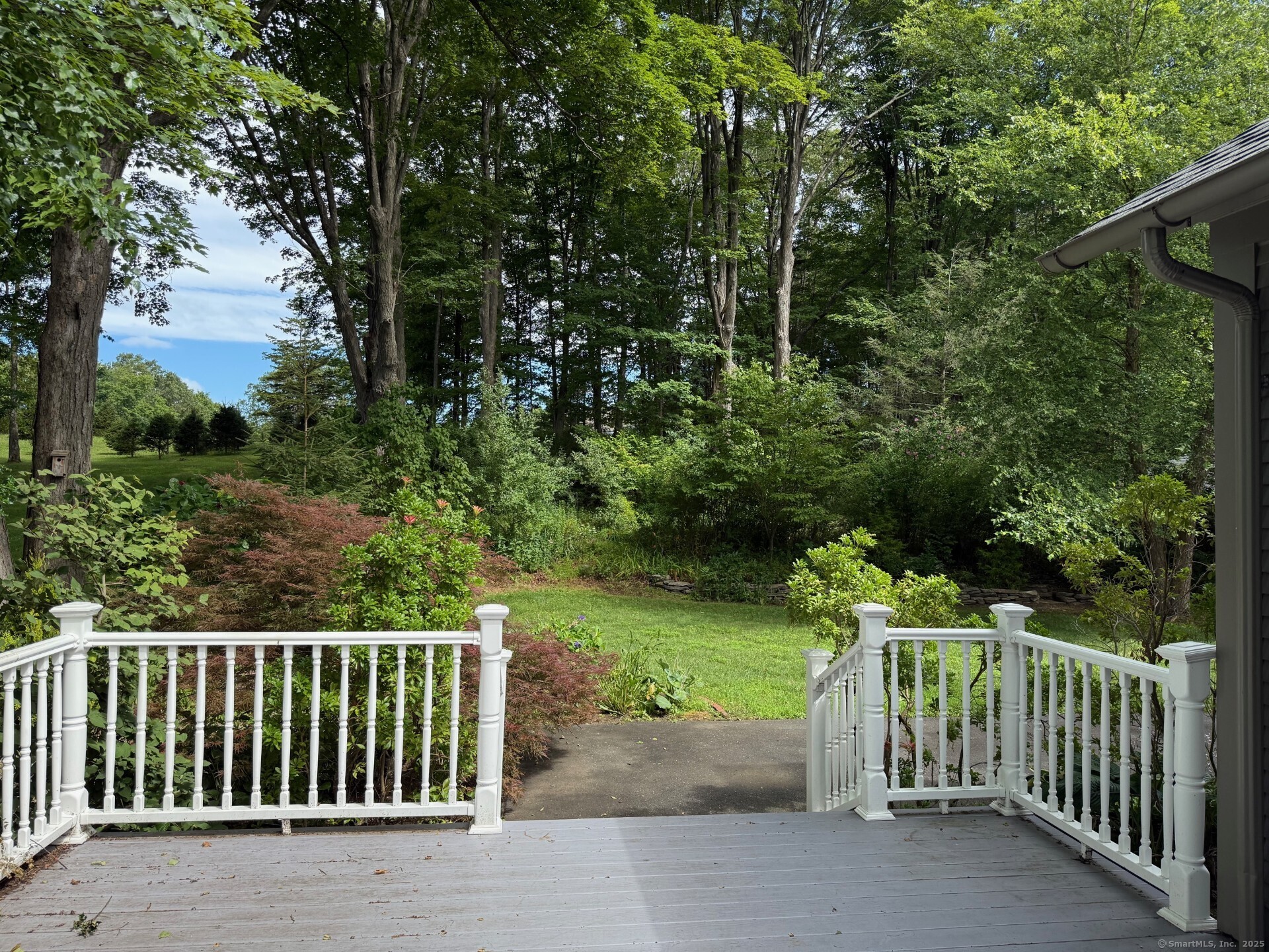 72 Clapboard Road Bridgewater, CT 06752 - Photo 2 of 39 a view of a pathway of a park with large trees