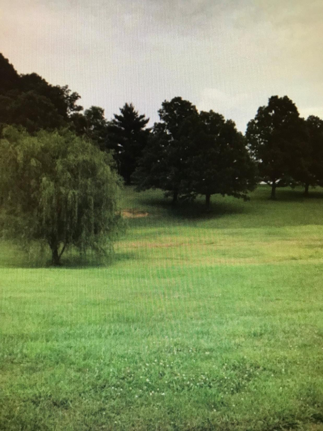 281 Goodloe Chapel Road Richmond, KY 40475 - Photo 8 of 11 Photo 8
