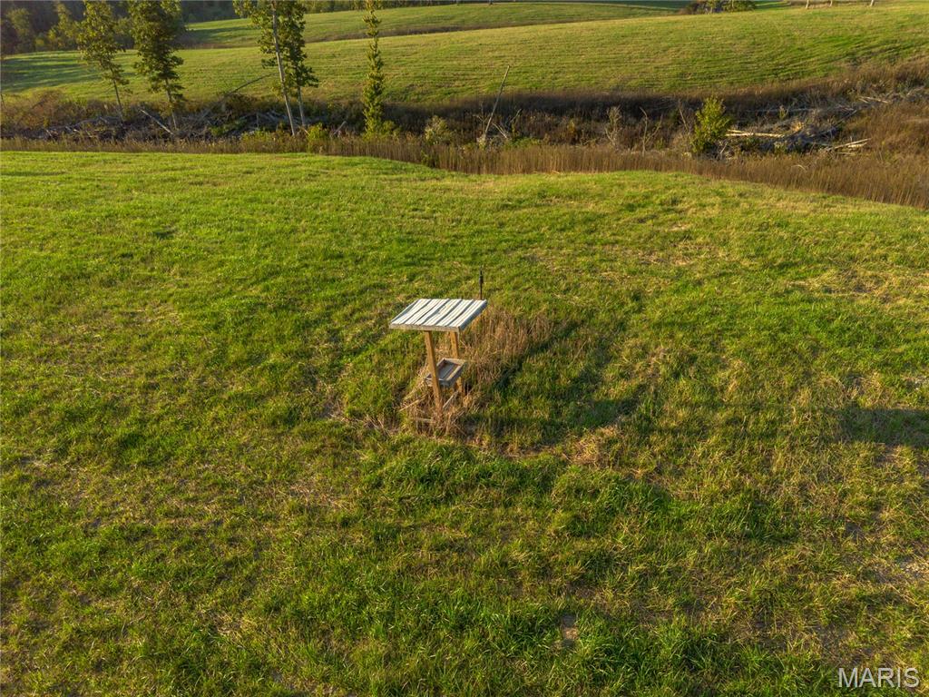 0 Dixon Road Licking, MO 65542 - Photo 12 of 13