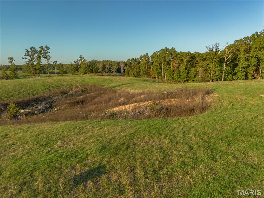 0 Dixon Road Licking, MO 65542 - Photo 13 of 13