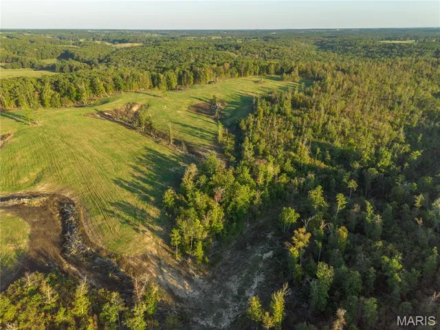 $402,000 | 0 Dixon Road, Licking, MO 65542