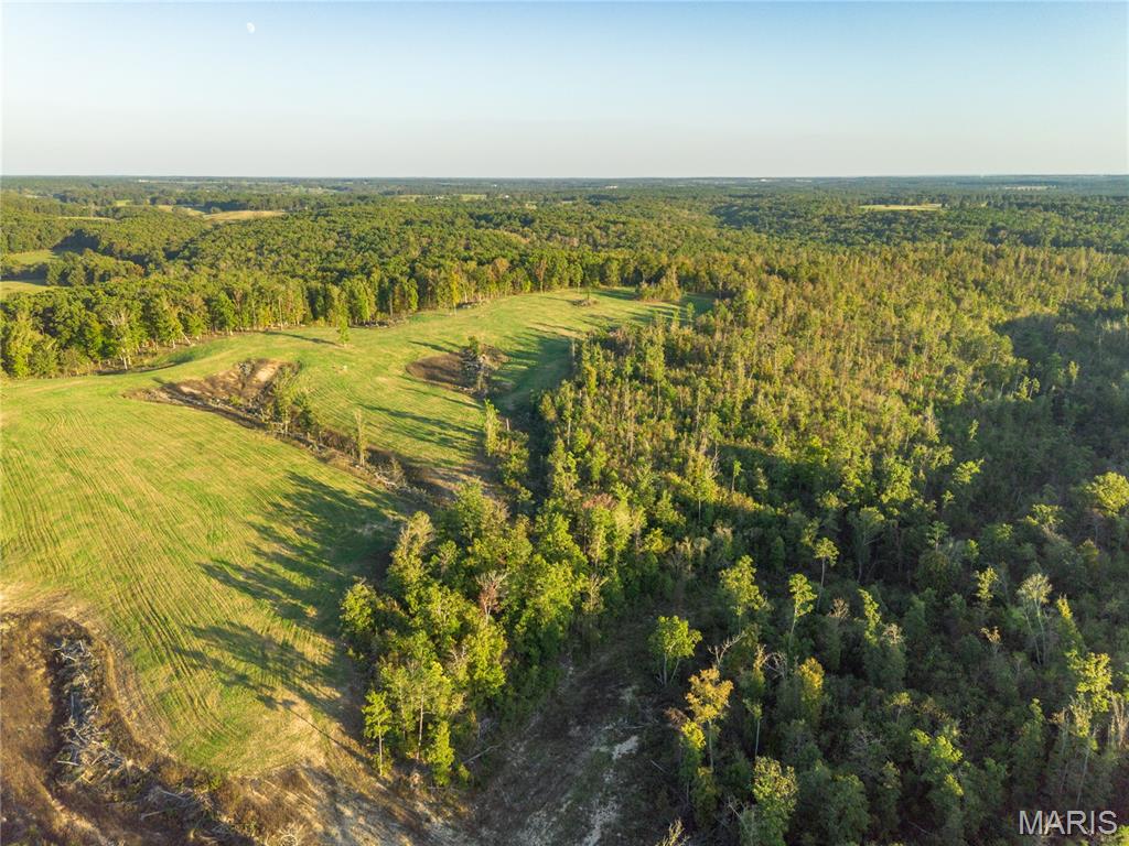 0 Dixon Road Licking, MO 65542 - Photo 4 of 13