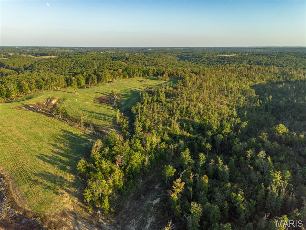 0 Dixon Road Licking, MO 65542 - Photo 5 of 13