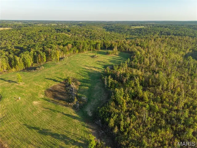 $402,000 | 0 Dixon Road, Licking, MO 65542