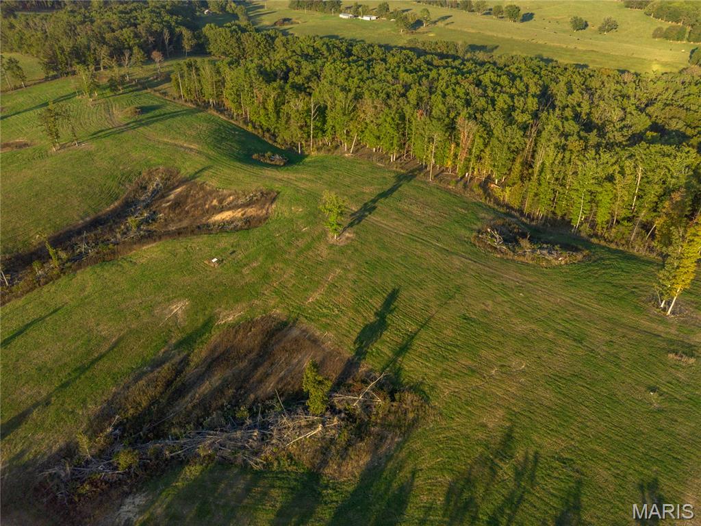 0 Dixon Road Licking, MO 65542 - Photo 10 of 13