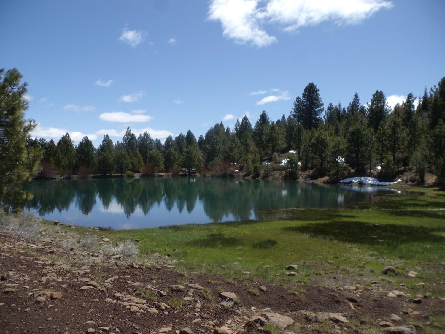 0 Glen View Lane Alturas, CA 96101 - Photo 17 of 19 One of the CA Pines fishing ponds.