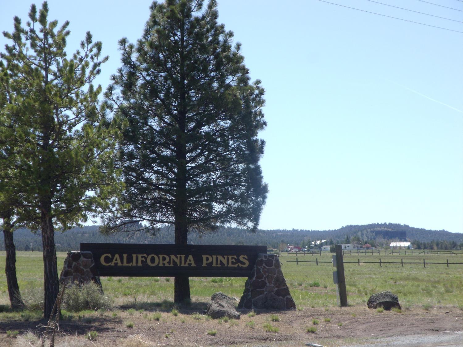 0 Glen View Lane Alturas, CA 96101 - Photo 5 of 19 Sign at entrance to CA Pines