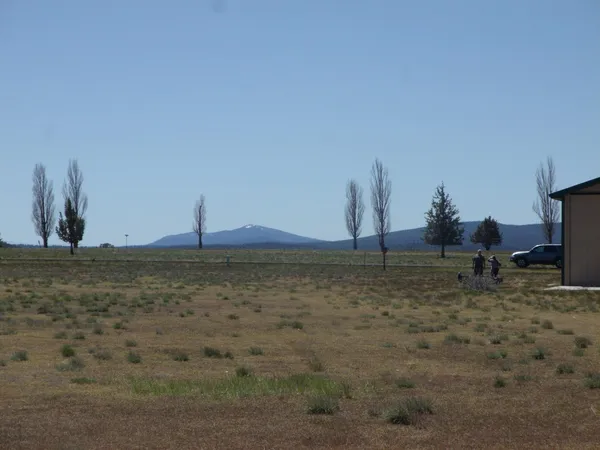 a view of a field
